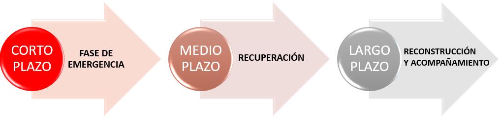 PLAN DE ACCION DANA - CARITAS GANDIA