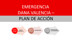 PLAN DE ACCION DANA VALENCIA - cÁRITAS gANDIA