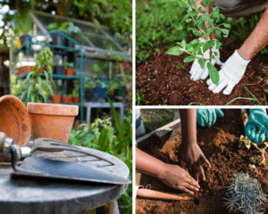 Cáritas Diocesana de Valencia dictará un curso de Jardinería en el CAI