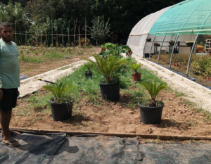 En Cáritas Gandia seguimos transformando nuestro huerto para convertirlo en un espacio cada vez más accesible, inclusivo y abierto a la convivencia.